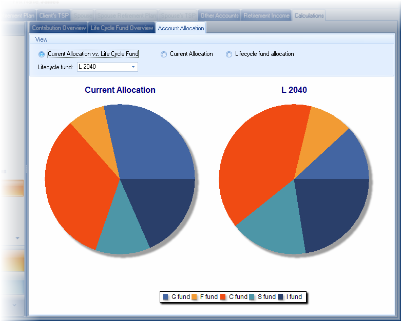 GACalc_TSPSummary_AccountAllocation